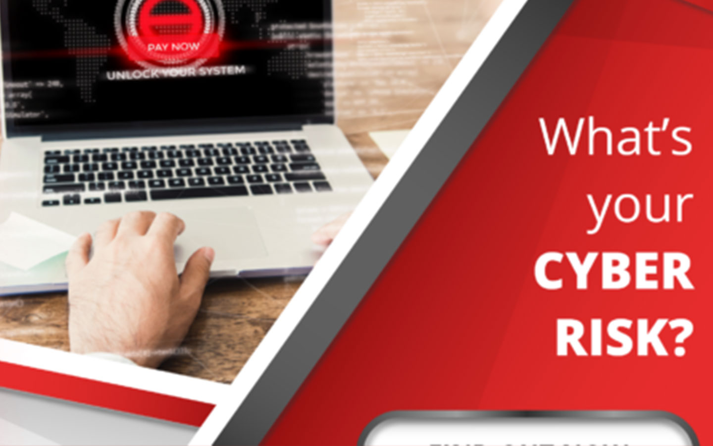 What’s Your CYBER RISK?